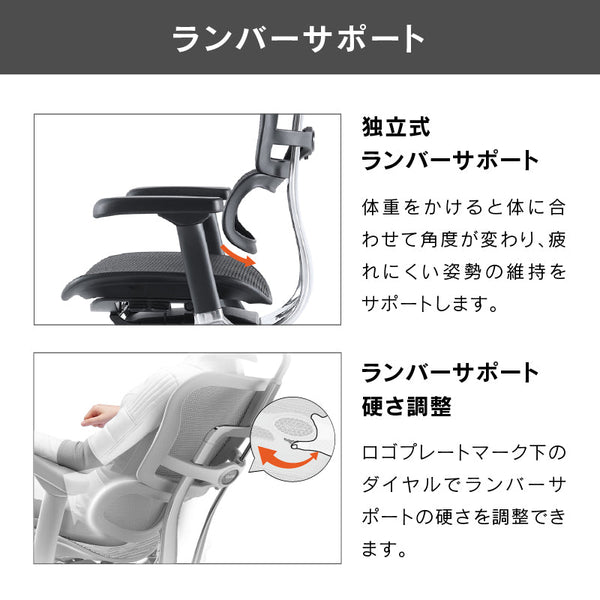 エルゴヒューマン プロⅡ ロータイプ #ブラック×ブラック #ウレタンキャスター