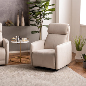 PLT111プラチナグレー #LT01 キャメル（レザーテックス アニリン）