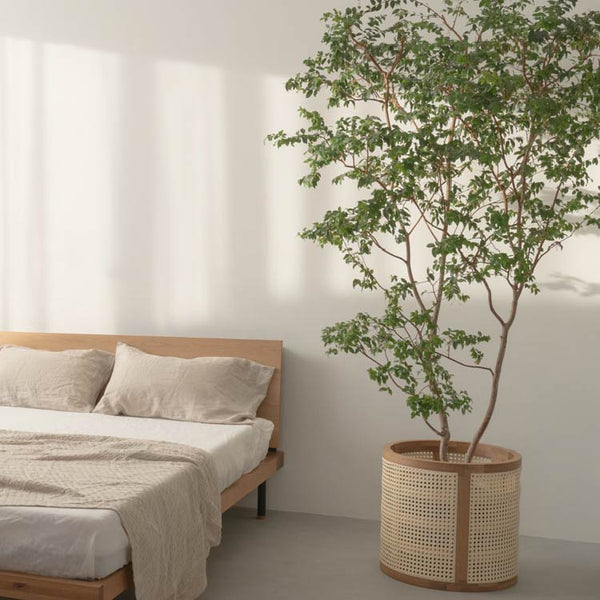 画像はLサイズのイメージです #オーク #Mサイズ