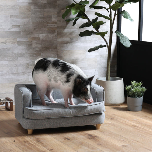 ポール ペット用ソファ #Default Title