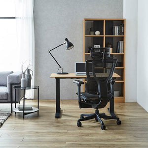 エルゴヒューマン FIT2 Lite オフィスチェア オットマン付 #ブラックフレーム×ブラック