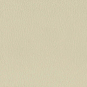 SILT22 フロスホワイト（シルキーレザーテックス） #SILT22 フロスホワイト（シルキーレザーテックス）