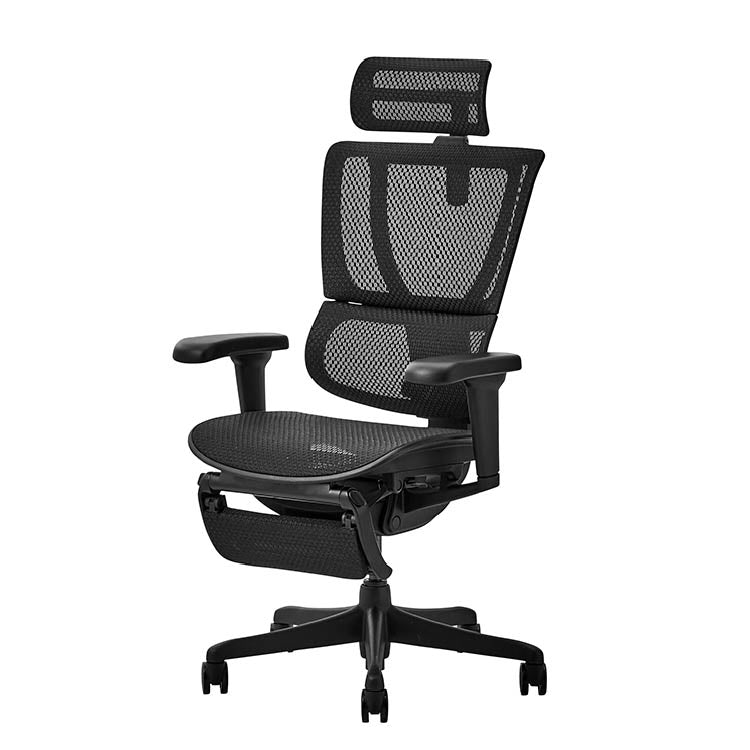 エルゴヒューマン FIT2 Lite オフィスチェア オットマン付