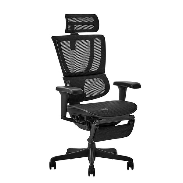 エルゴヒューマン FIT2 Lite オフィスチェア オットマン付 #ブラックフレーム×ブラック