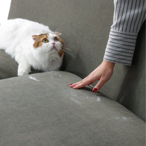 毛が付いても、手でなでるとまとめやすく、取り除きやすい生地です。（※ペットフレンドリー生地） #アイボリー