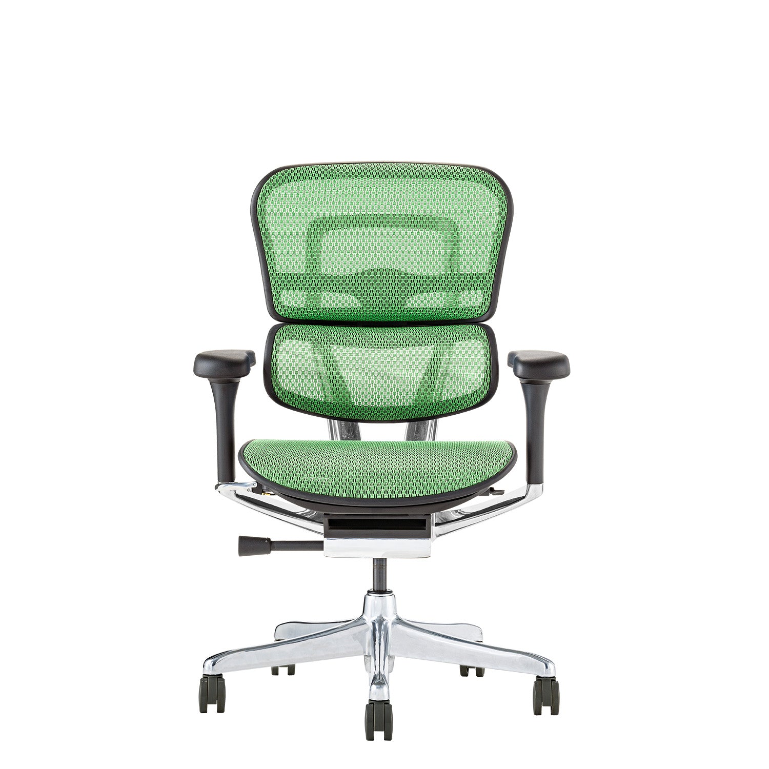 エルゴヒューマン エルゴヒューマン