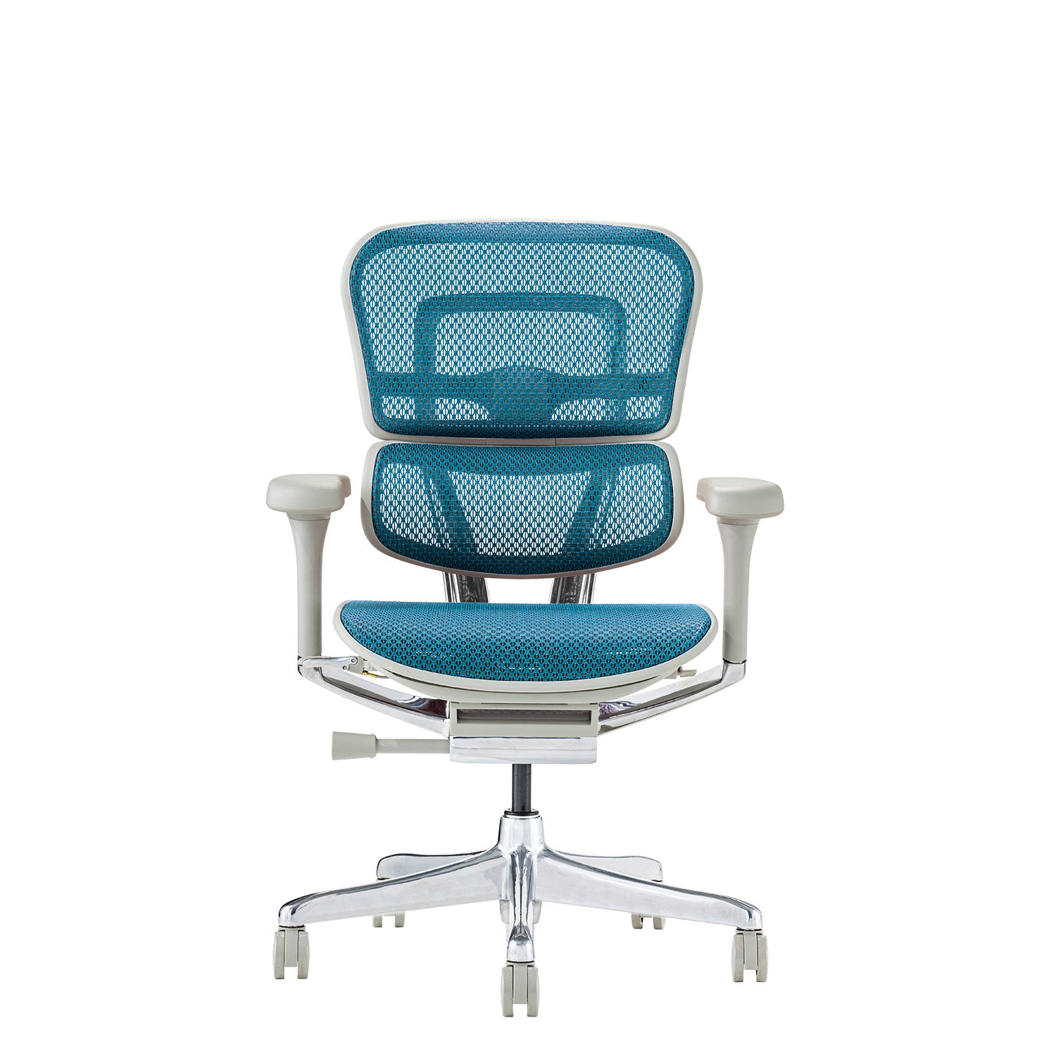 数量限定】 エルゴヒューマン プロⅡ ロータイプ