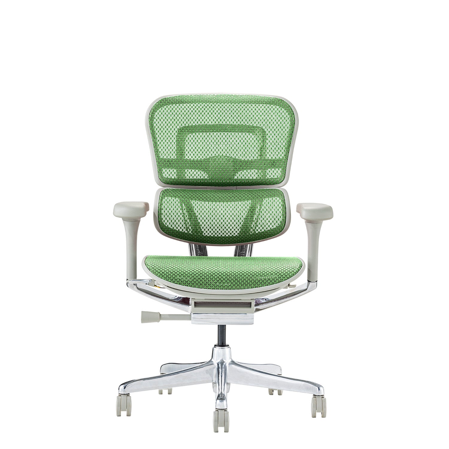 エルゴヒューマン