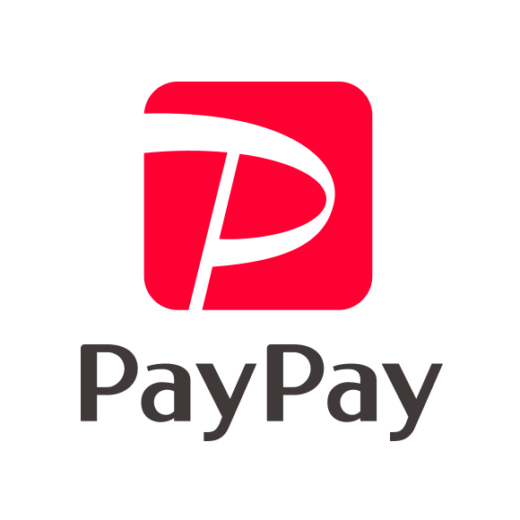 Payment icon