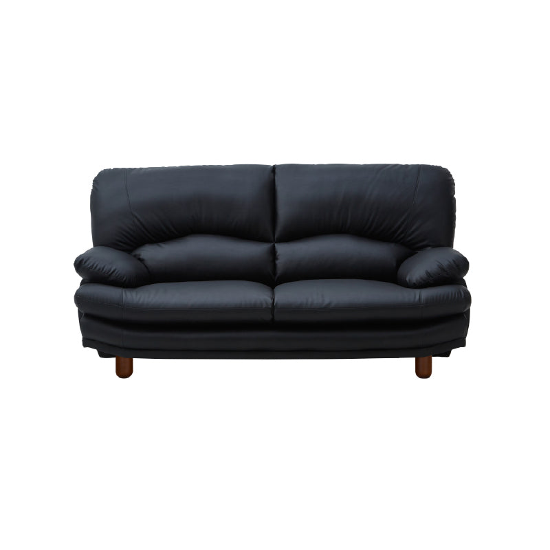 ienowa　ソファー　ブラックパール 2人掛けレザーソファ ブラック スチール脚 Nolan | 家具・インテリア
