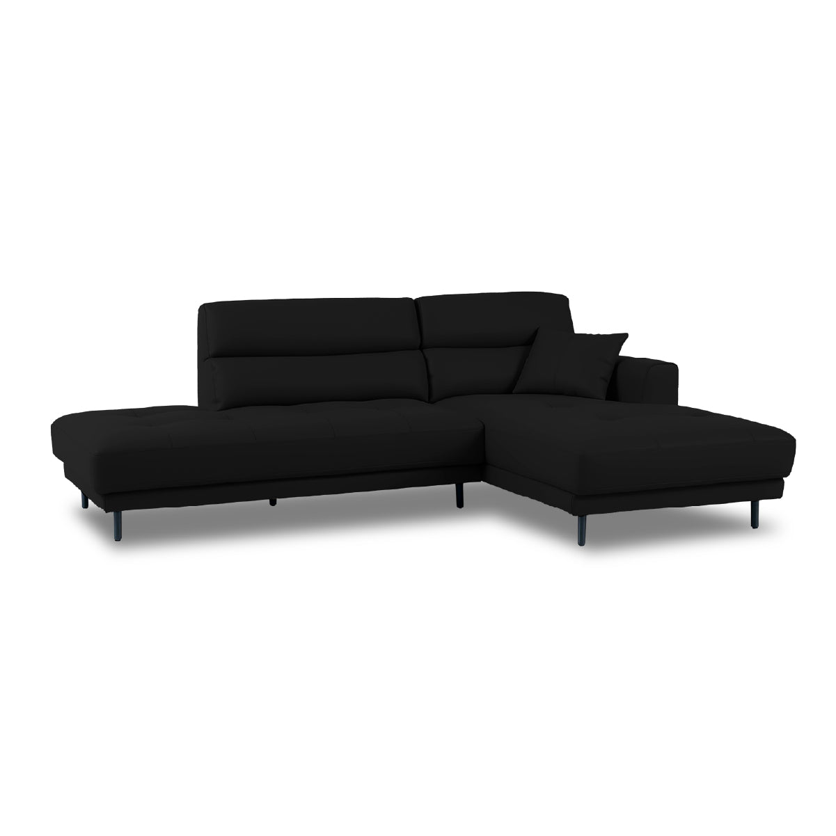 チ*ゴ様 ディクソニア チ*ゴ様 ディクソニア