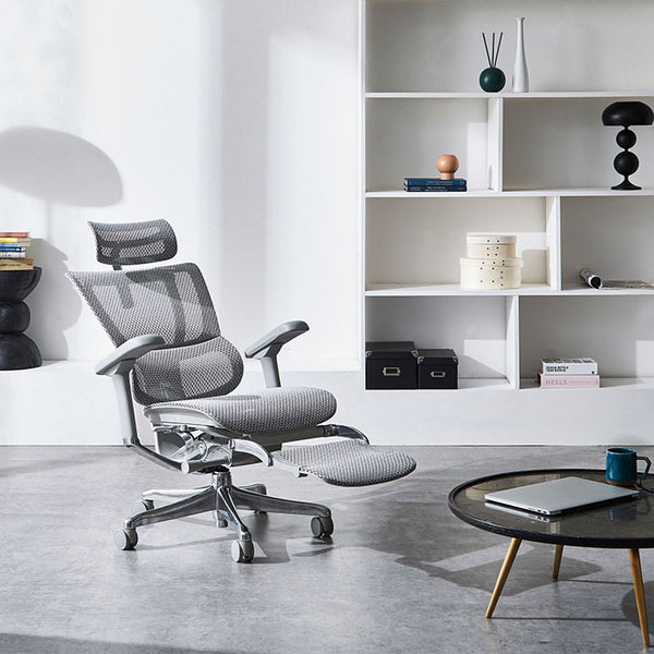 エルゴヒューマン FIT2 LPL オフィスチェア オットマン付 #グレーフレーム×ホワイト