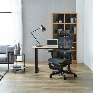 エルゴヒューマン FIT2 Lite オフィスチェア オットマン付 #ブラックフレーム×ブラック