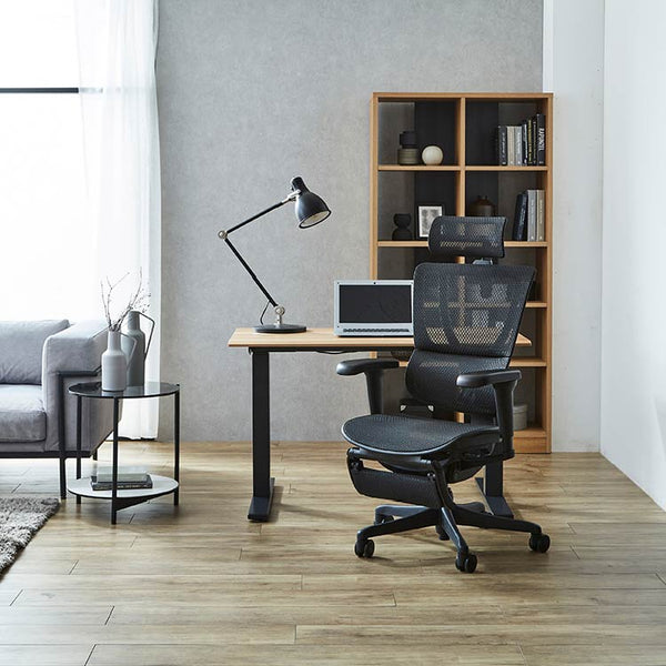 エルゴヒューマン FIT2 Lite オフィスチェア オットマン付 #ブラックフレーム×ブラック