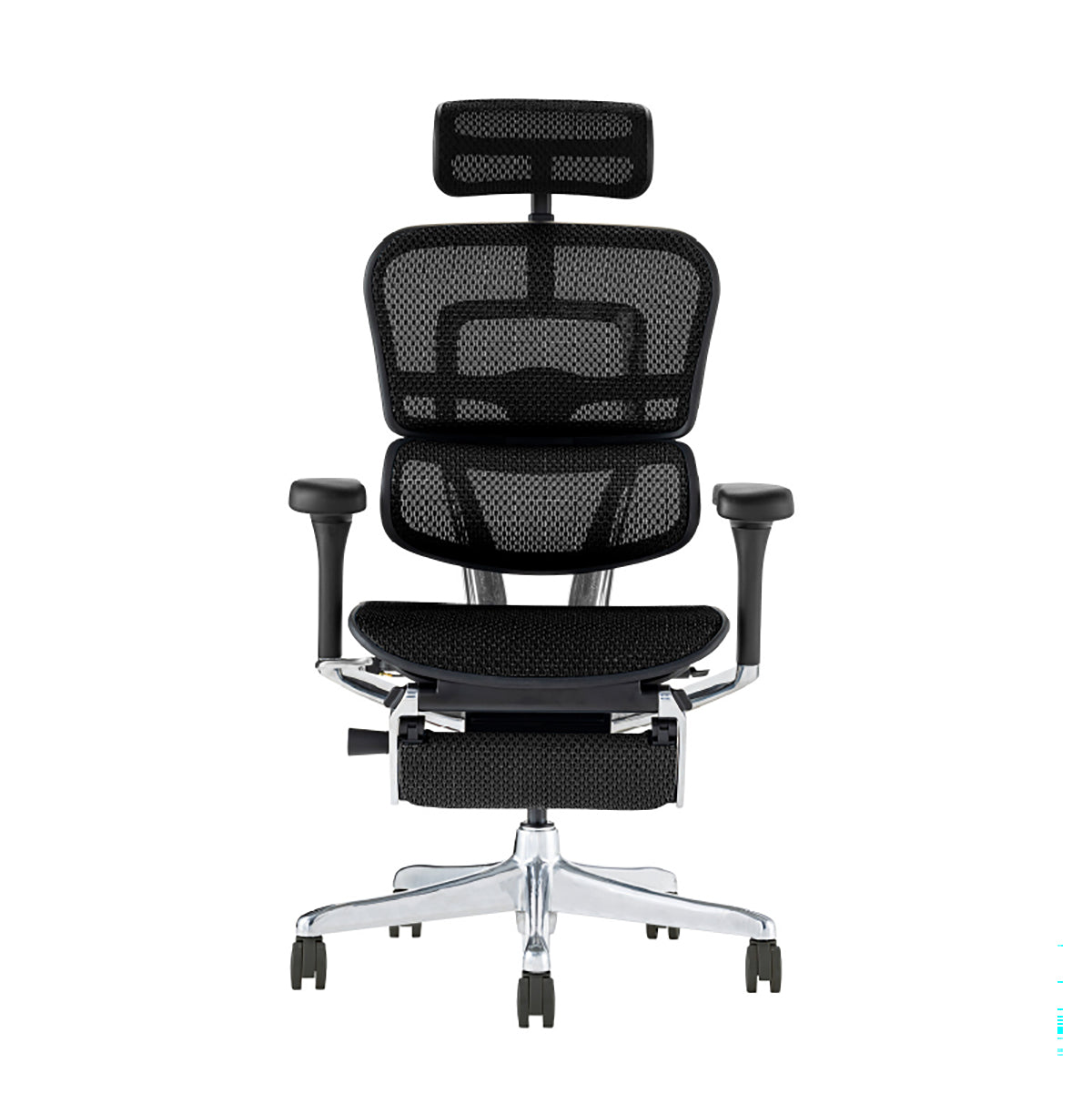 エルゴヒューマン プロⅡ オットマン付 5D肘 ダブルロッキング｜家具