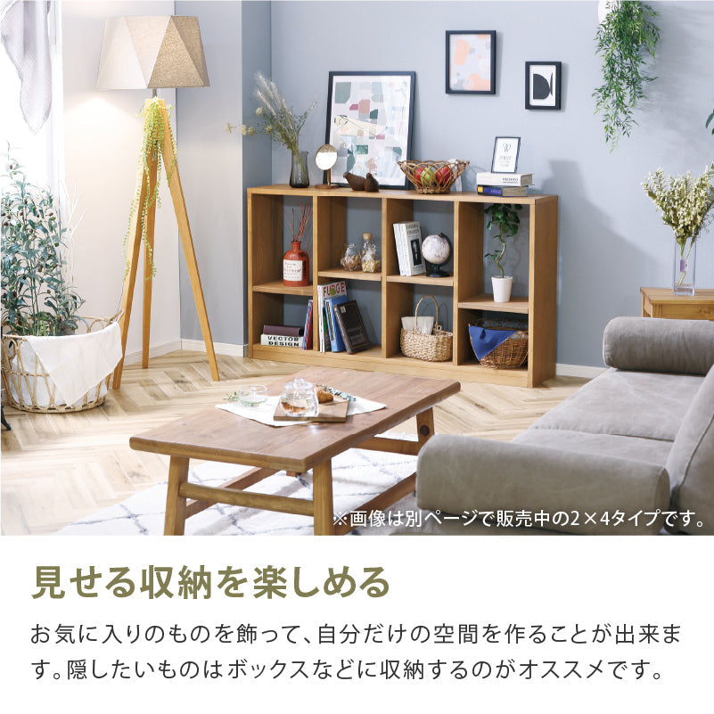 ローゼルⅡ シェルフ