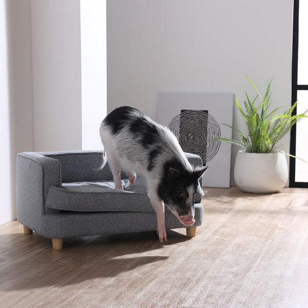 ポール ペット用ソファ #Default Title