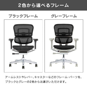 エルゴヒューマン プロⅡ ロータイプ #ブラック×ブラック #ウレタンキャスター