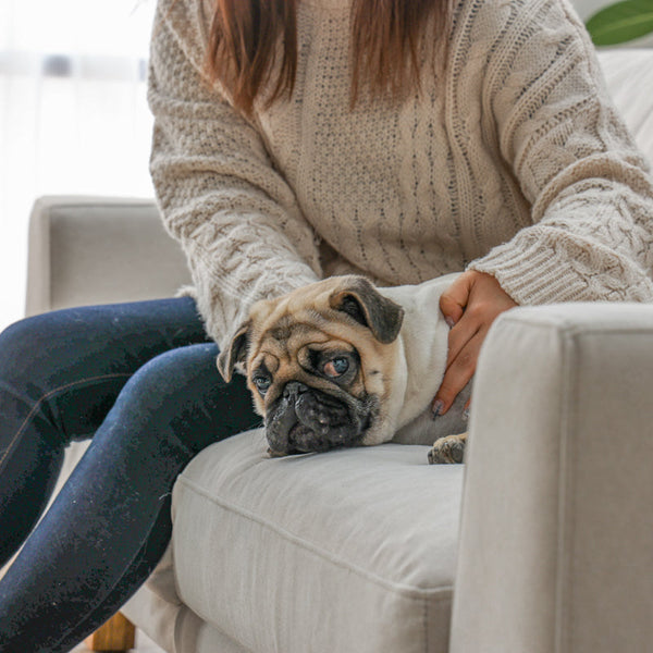 オリオ 3人掛けソファ 幅194cm ペット対応 フルカバーリング #ストーンホワイト