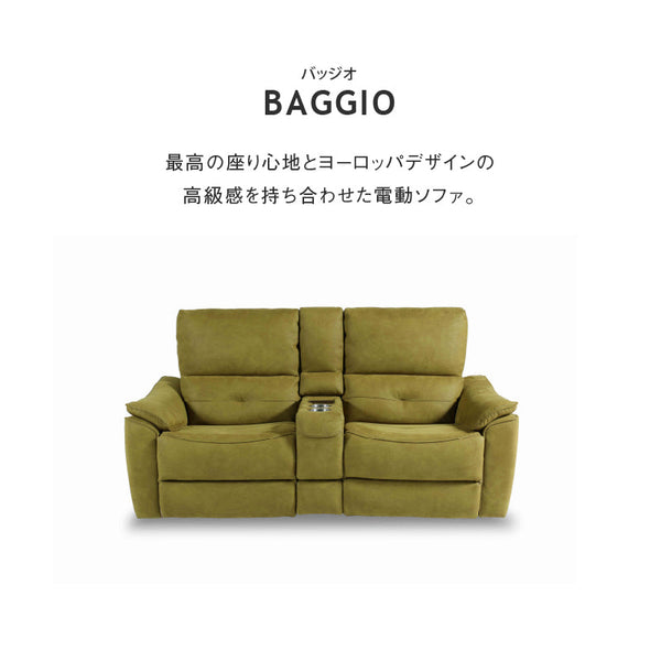 【別注】バッジオ　2人掛けコンソールソファ幅167cm #PLT101 ブルースター #プライム レザーテックス