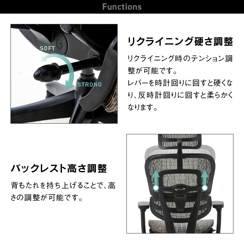 エルゴヒューマン SE オフィスチェア 高級 国内300台限定 専用メッシュ