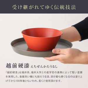 ◆ 漆器ギフト 2点セット 越前漆器 食洗器対応 ギフトブックス入 平皿 深皿 漆琳堂 #Aセット
