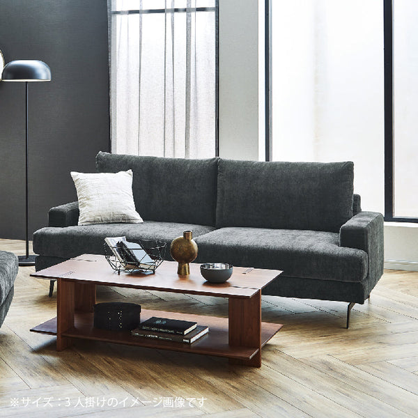 エレーナ ２人掛けソファ 幅164cm カバーリング お掃除ロボット対応 ファブリック #チャコール
