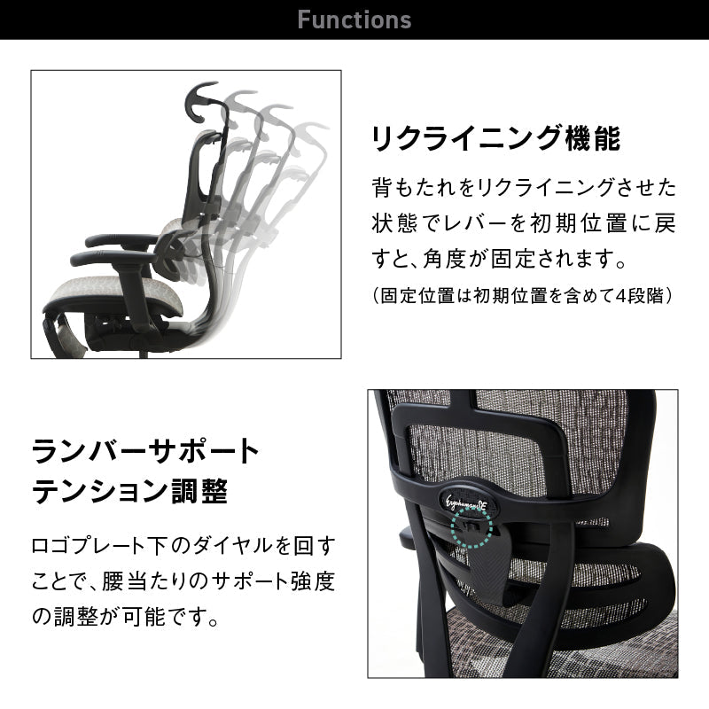 エルゴヒューマン SE オフィスチェア 高級 国内300台限定 専用メッシュ