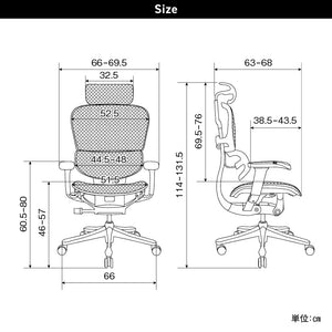 エルゴヒューマン SE オフィスチェア 高級 国内300台限定 専用メッシュ採用 特別仕様モデル #Default Title