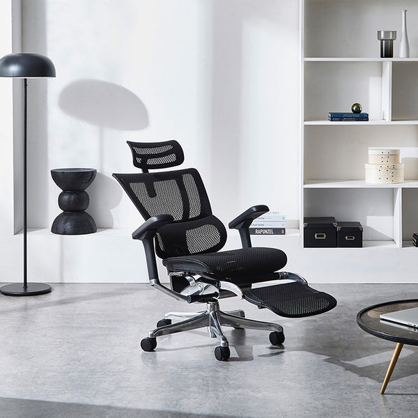 エルゴヒューマン FIT2 LPL オフィスチェア オットマン付 #ブラックフレーム×ブラック