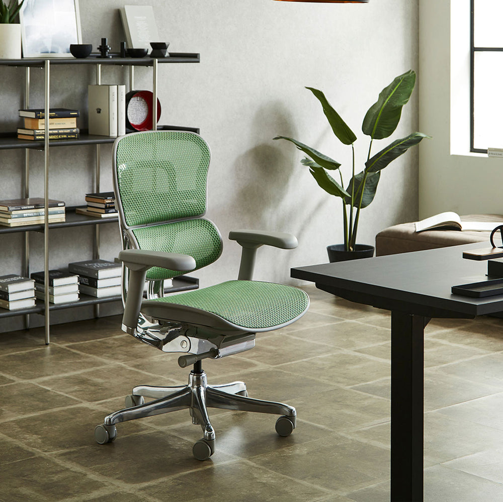 エルゴヒューマン プロⅡ ロータイプ 新基盤