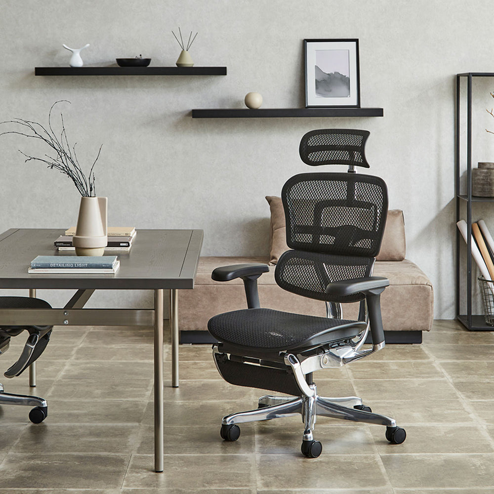 エルゴヒューマン プロⅡ ハイタイプ オットマン付 新基盤