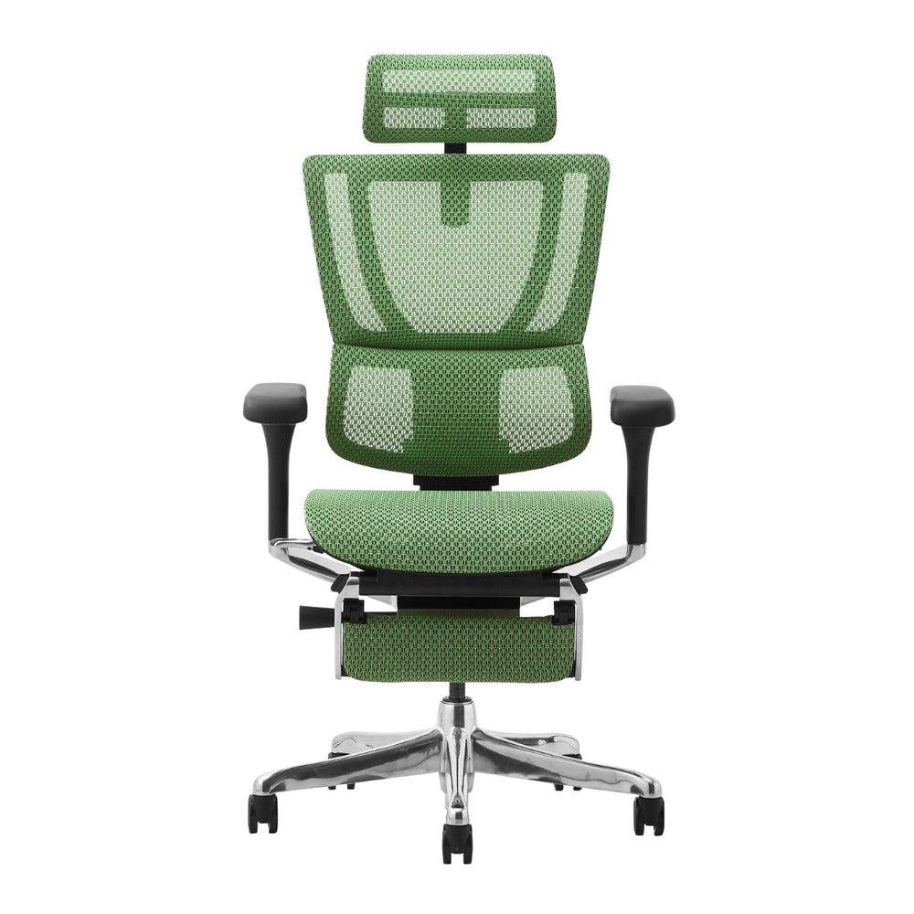 【OUTLET】エルゴヒューマン FIT2 ロータイプ 新基盤