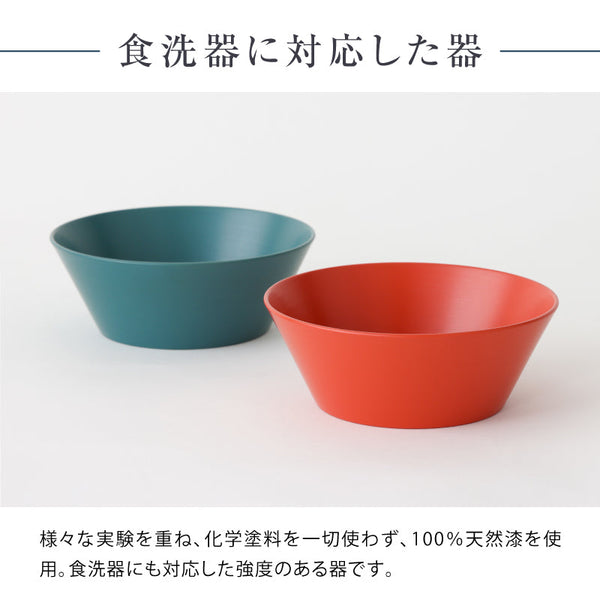 ◆ 漆器ギフト 2点セット 越前漆器 食洗器対応 ギフトブックス入 平皿 深皿 漆琳堂 #Aセット
