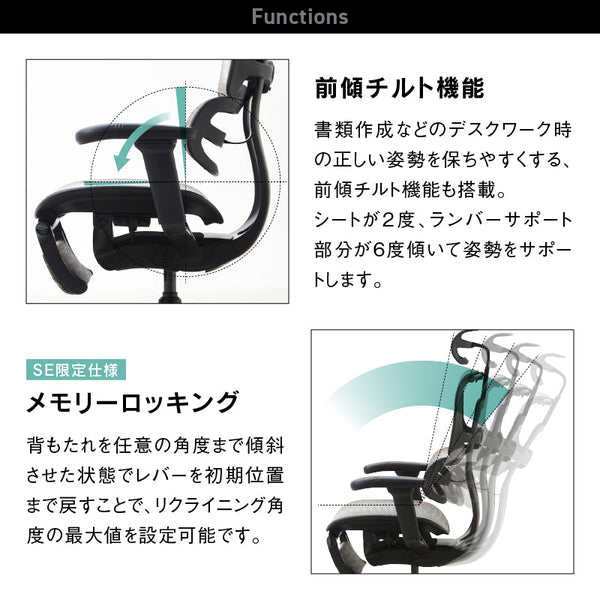エルゴヒューマン SE オフィスチェア 高級 国内300台限定 専用メッシュ採用 特別仕様モデル #Default Title