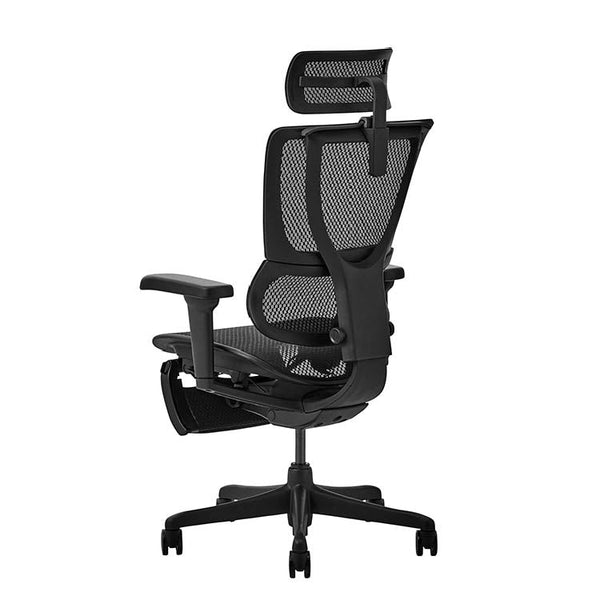 エルゴヒューマン FIT2 Lite オフィスチェア オットマン付 #ブラックフレーム×ブラック