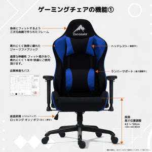 ローザ EVO ゲーミングチェア 4Dアームレスト リクライニング 175度 #ブラック