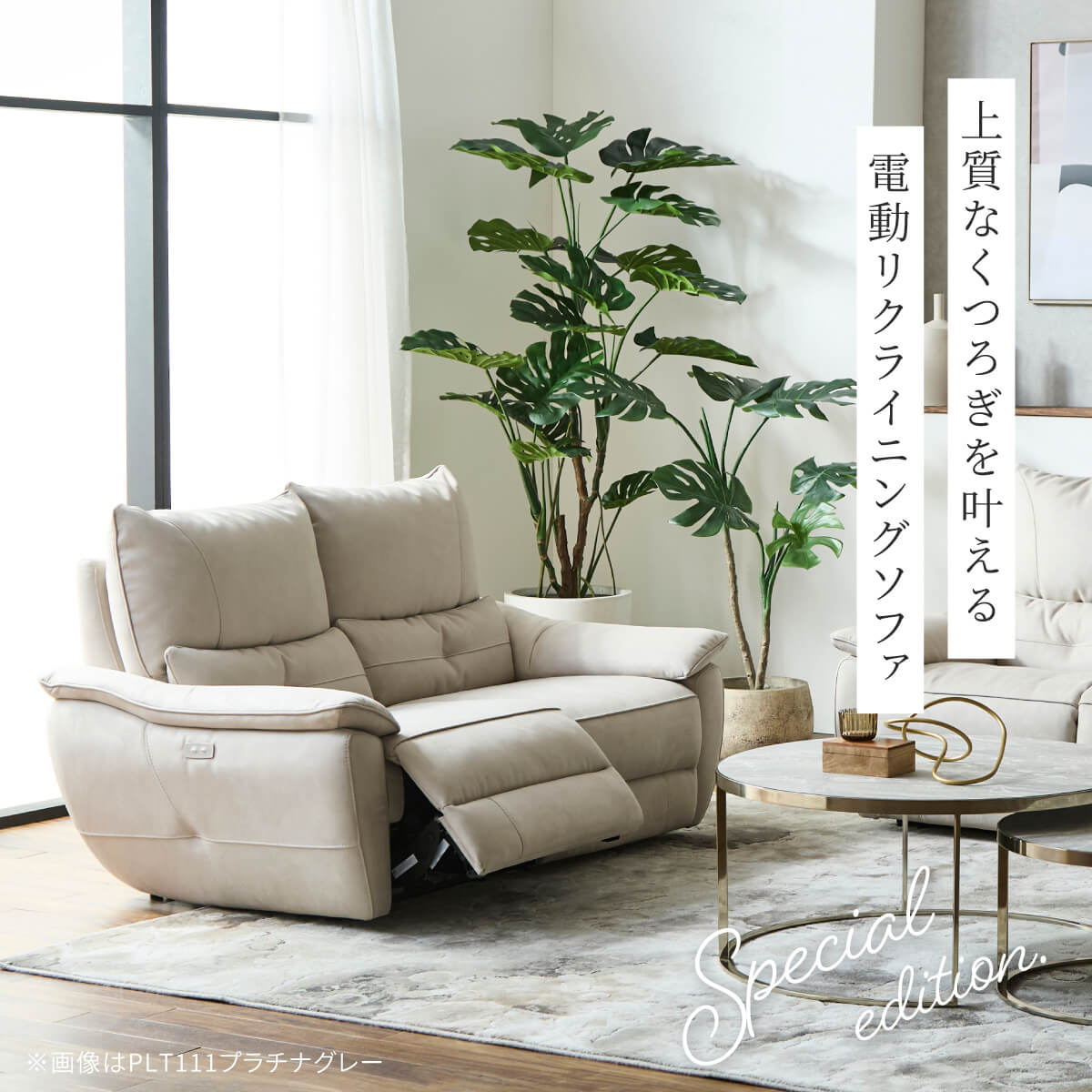 【最終値下げ_送料込】関家具 バッジオ 電動リクライニングソファ 2人掛け バッジオSE 2人掛け電動ソファ幅148cm｜家具・インテリア通販の関家具