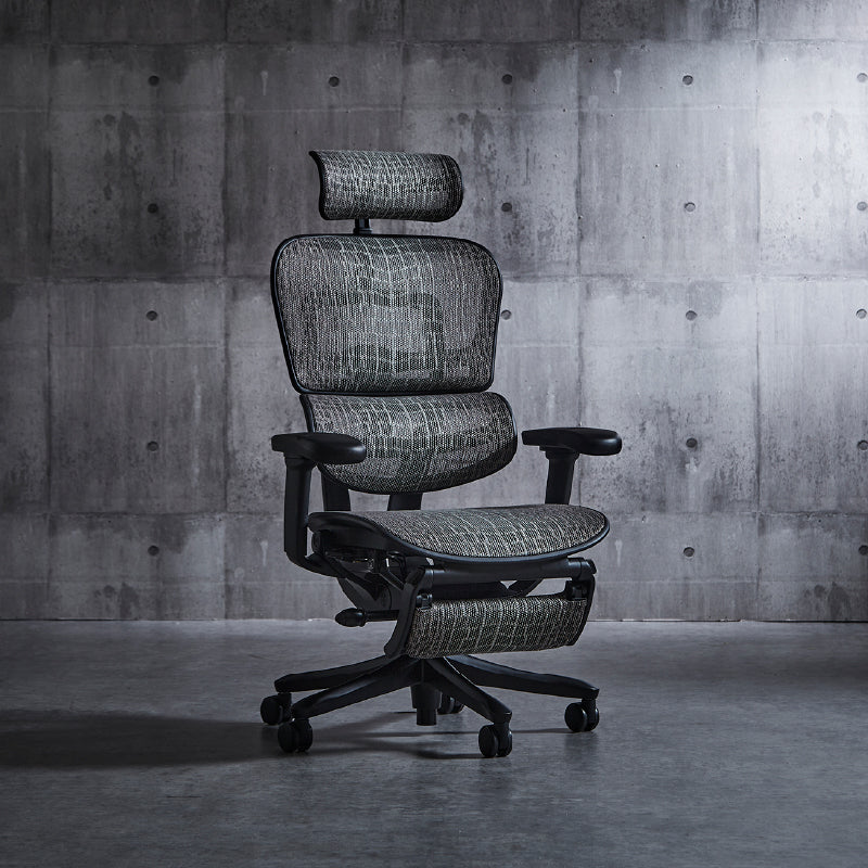 エルゴヒューマン SE オフィスチェア 高級 国内300台限定 専用メッシュ