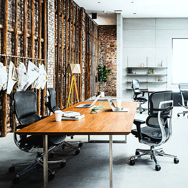 【数量限定】 エルゴヒューマン プロⅡ ロータイプ #レッド×ブラック #ウレタンキャスター