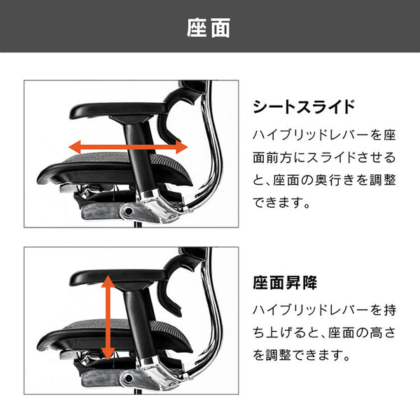 エルゴヒューマン エンジョイⅡ ロータイプ #レッド×グレー #ウレタンキャスター