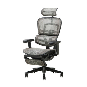 エルゴヒューマン SE オフィスチェア 高級 国内300台限定 専用メッシュ採用 特別仕様モデル #Default Title