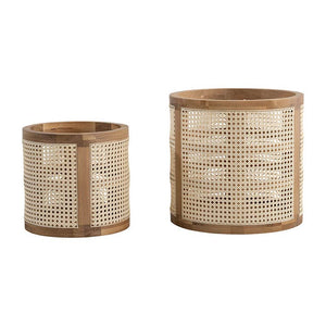 向かって左：Mサイズ　向かって右：Lサイズ #オーク #Mサイズ