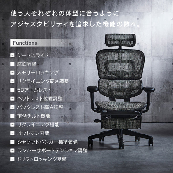 エルゴヒューマン SE オフィスチェア 高級 国内300台限定 専用メッシュ採用 特別仕様モデル #Default Title