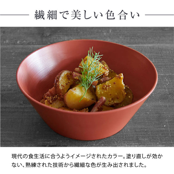 ◆ 漆器ギフト 2点セット 越前漆器 食洗器対応 ギフトブックス入 平皿 深皿 漆琳堂 #Aセット