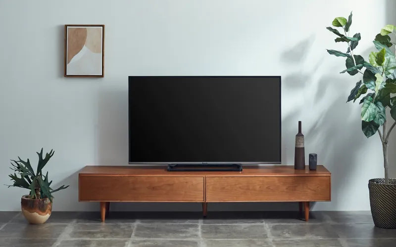 観葉植物やアートを取り入れると、テレビ周りに彩りと奥行きが生まれます。