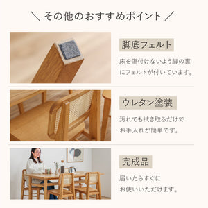 ビンズ ダイニングチェア ラタン 板座 ナチュラル #Default Title