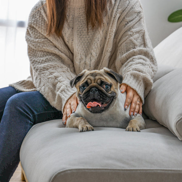 フラッフィル 3人掛けソファ 幅184cm スロープ付 ペット対応 カバーリング #ストーンホワイト