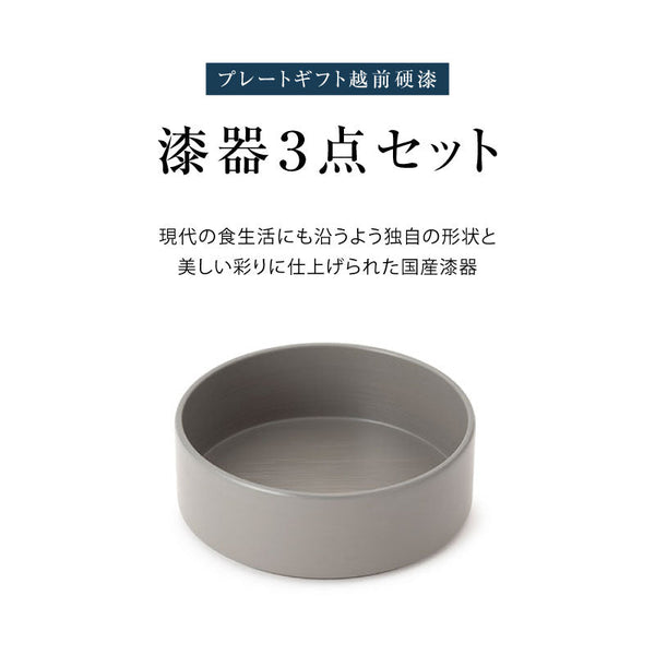 ◆ 漆器ギフト 3点セット 越前漆器 食洗器対応 ギフトブックス入 平皿 深皿 漆琳堂 #Aセット