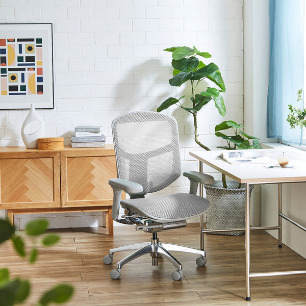 【数量限定】  エルゴヒューマン エンジョイⅡ ロータイプ #ブラック×ブラック